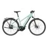 Riese & Müller Roadster Mixte Vario 625 Purion Komfort Gepäckträger 2022 - E-Bike | Pedelecs -Fahrradladen Riese Muller Roadster Mixte Vario 625 Purion Komfort Kit RX Chip Gepacktrager 2021 600x600