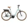 Riese & Müller Swing Vario Intuvia Frontkorb + Schloss 2023 - E-Bike | Pedelecs